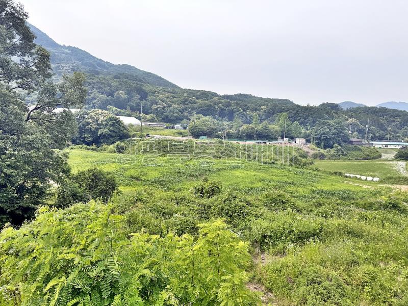 양평군 양서면 목왕리 전망좋은토지_8