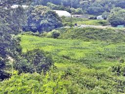 양평군 양서면 목왕리 전망좋은토지_썸네일_9