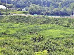 양평군 양서면 목왕리 전망좋은토지_썸네일_10