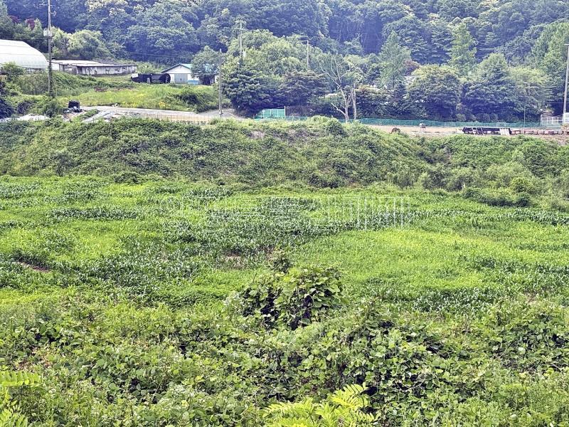 양평군 양서면 목왕리 전망좋은토지_10