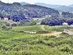 양평군 양서면 목왕리 전망좋은토지_썸네일_12