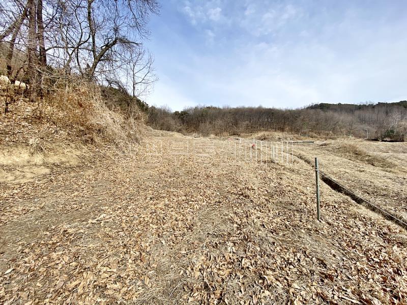 양평군 옥천면 아신리 접근성과 남향으로 안정된토지_5