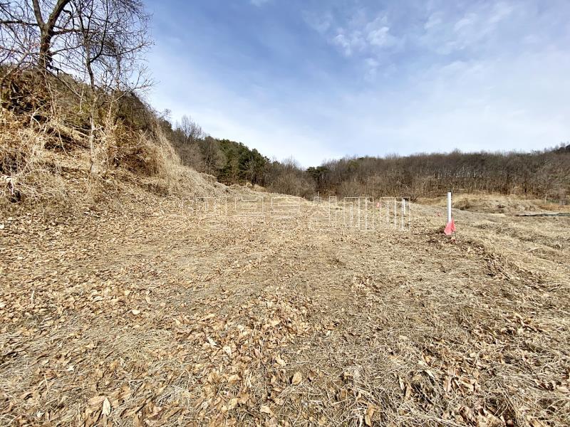 양평군 옥천면 아신리 접근성과 남향으로 안정된토지_7