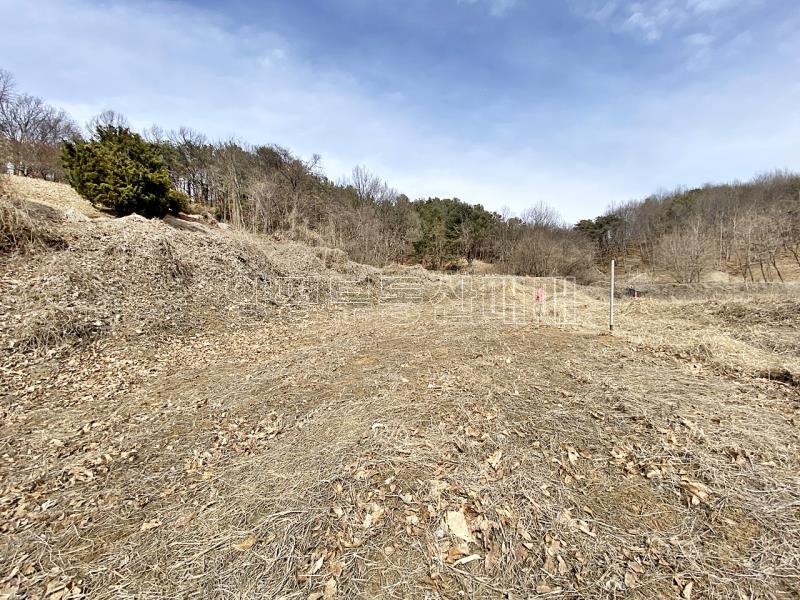 양평군 옥천면 아신리 접근성과 남향으로 안정된토지_8