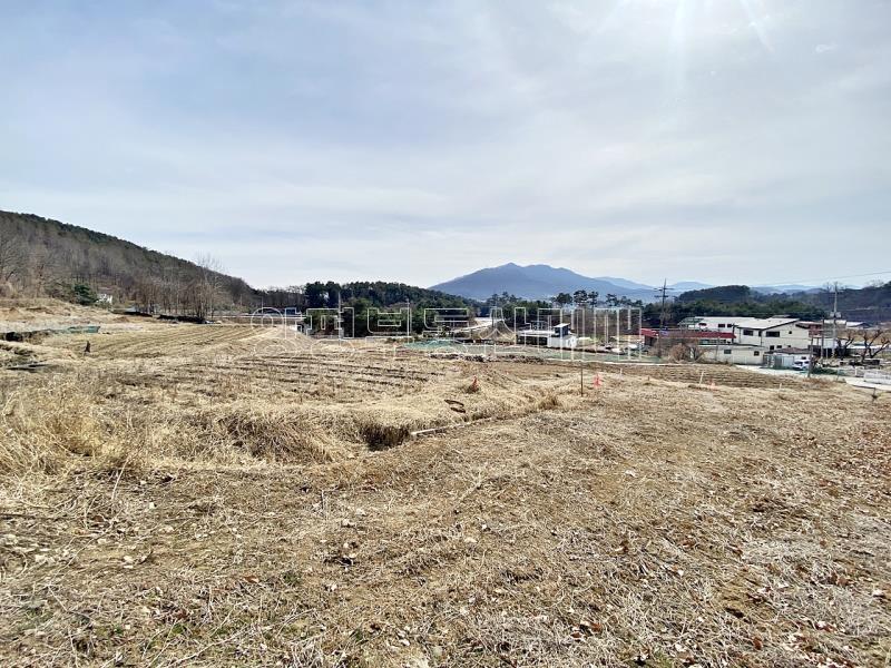 양평군 옥천면 아신리 접근성과 남향으로 안정된토지_13