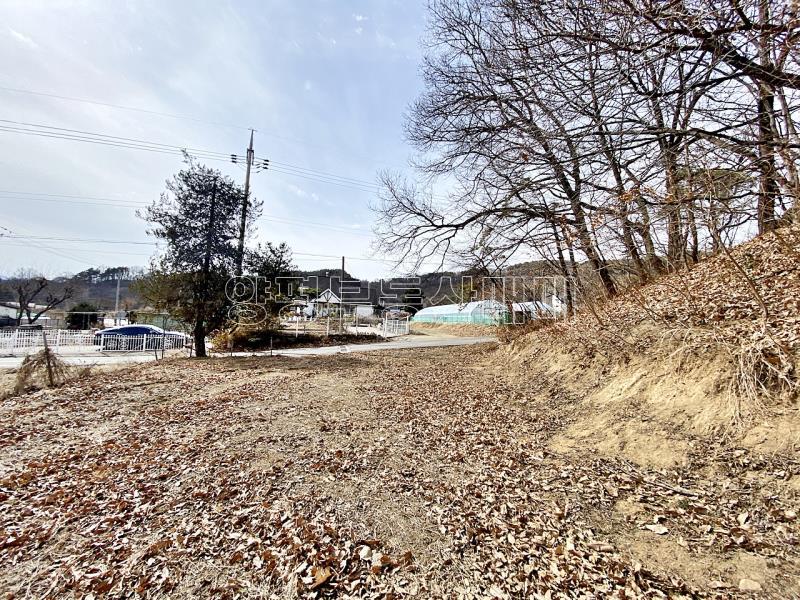 양평군 옥천면 아신리 접근성과 남향으로 안정된토지_14