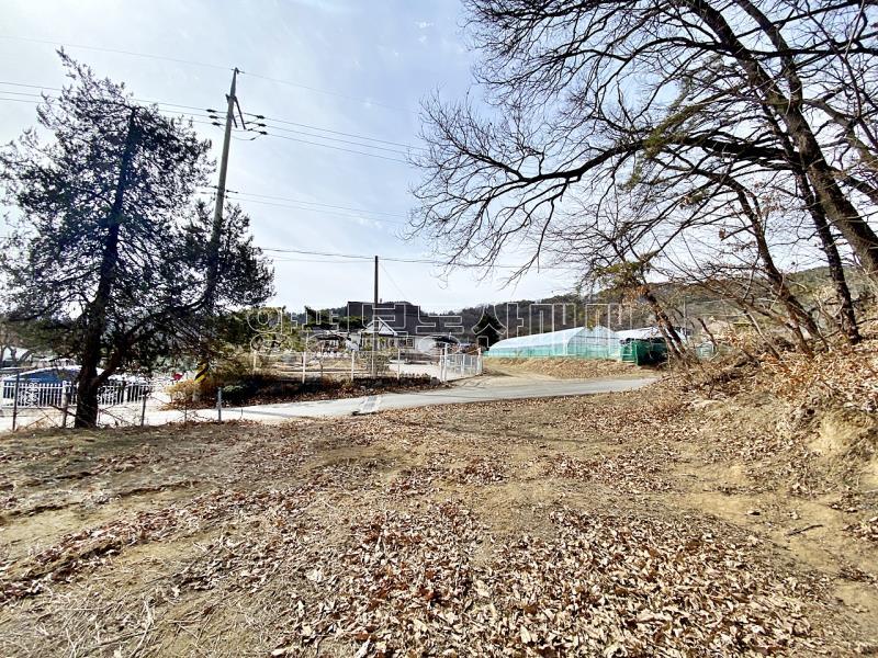 양평군 옥천면 아신리 접근성과 남향으로 안정된토지_15