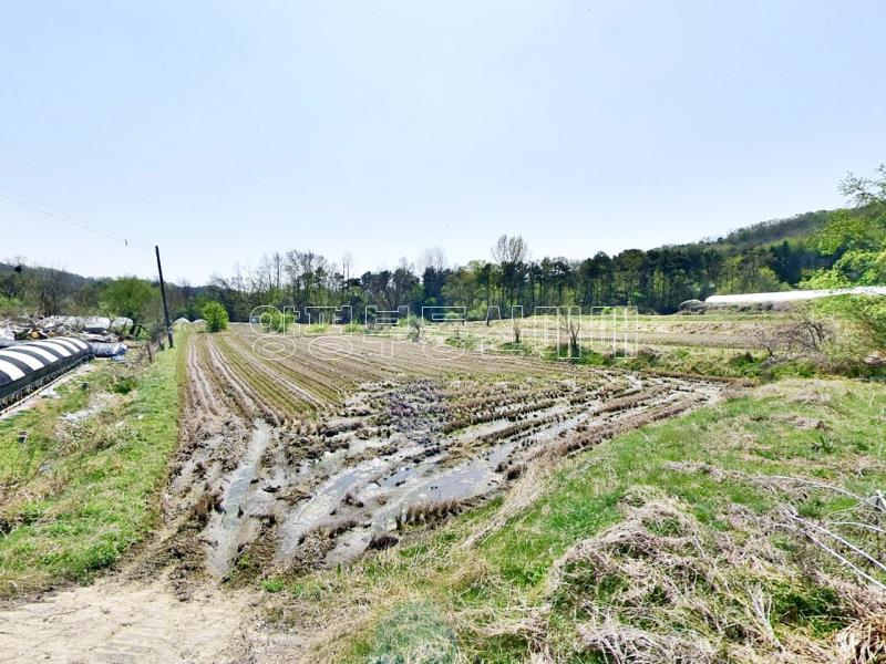 경기 영주시 홍천면 이포i.c 인근 토지_2