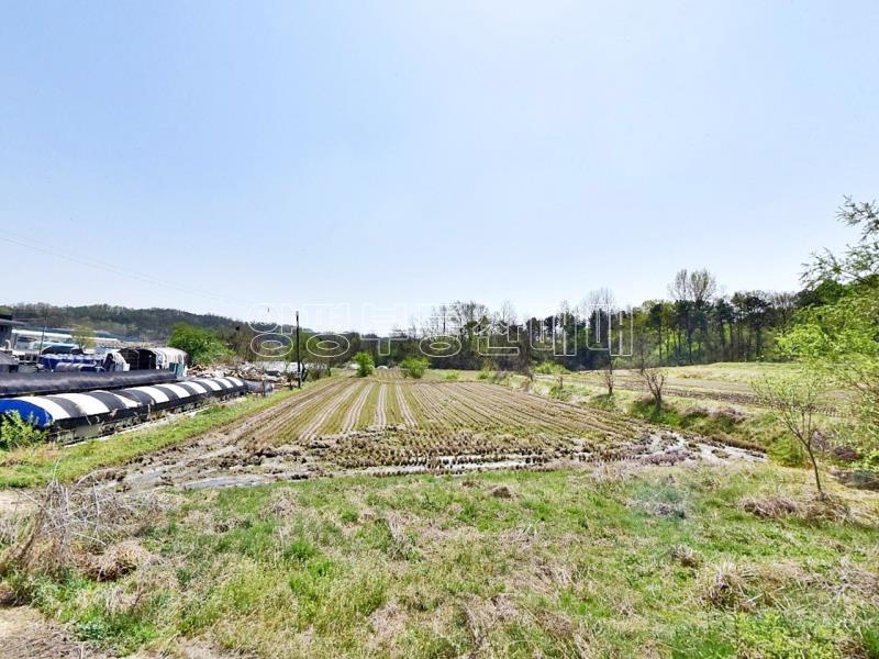 경기 영주시 홍천면 이포i.c 인근 토지_3