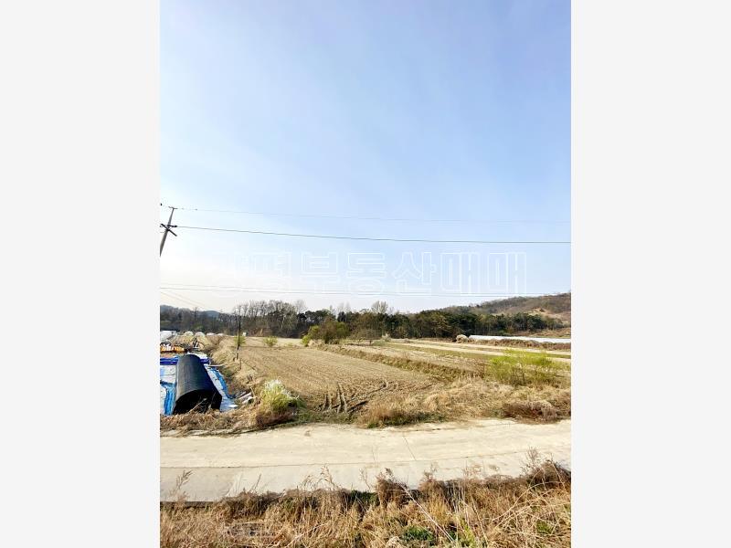 경기 영주시 홍천면 이포i.c 인근 토지_7