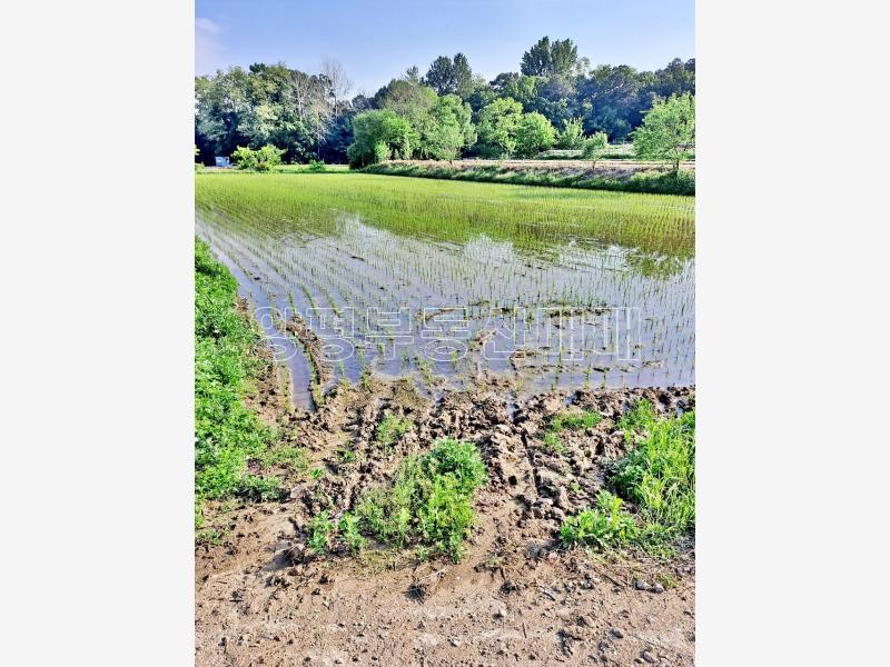 경기 영주시 홍천면 이포i.c 인근 토지_8