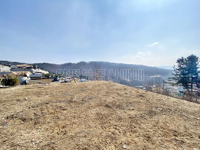 양평군 양서면 증동리 청계산의아침_11