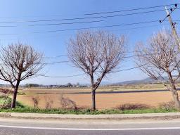 경기도 여주시 대신면 담낭리 田  맹지_썸네일_1