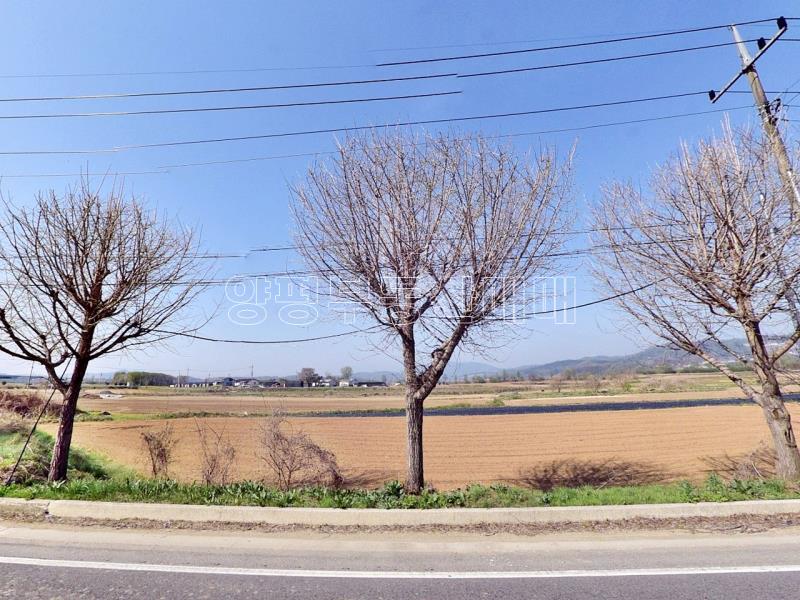 경기도 여주시 대신면 담낭리 田  맹지_1