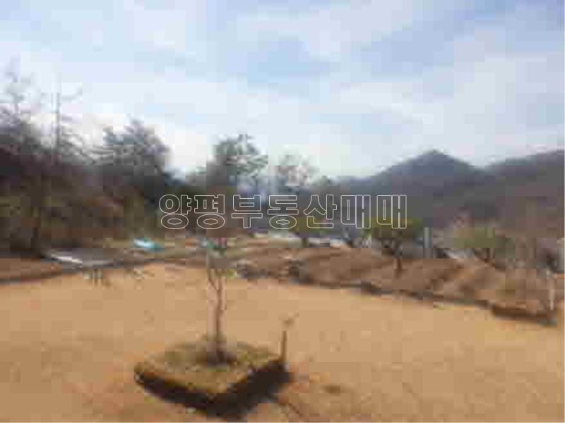 경기도 양평군 양서면 신원리 뷰 좋은 잘다듬어진 토지_3