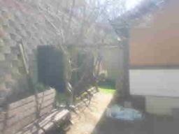 경기도 양평군 양서면 신원리 뷰 좋은 잘다듬어진 토지_썸네일_7