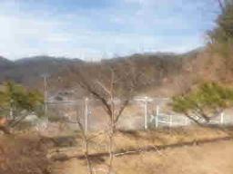 경기도 양평군 양서면 신원리 뷰 좋은 잘다듬어진 토지_썸네일_10