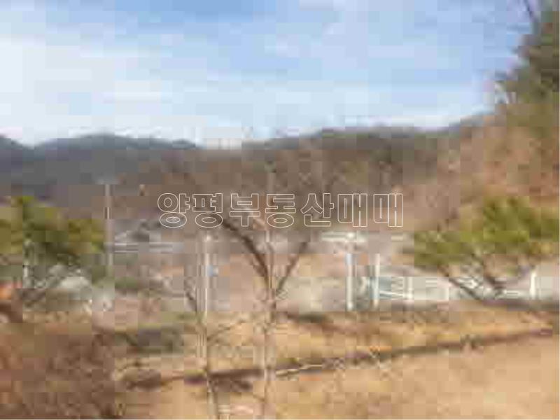 경기도 양평군 양서면 신원리 뷰 좋은 잘다듬어진 토지_10