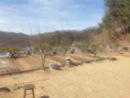 경기도 양평군 양서면 신원리 뷰 좋은 잘다듬어진 토지_썸네일_14