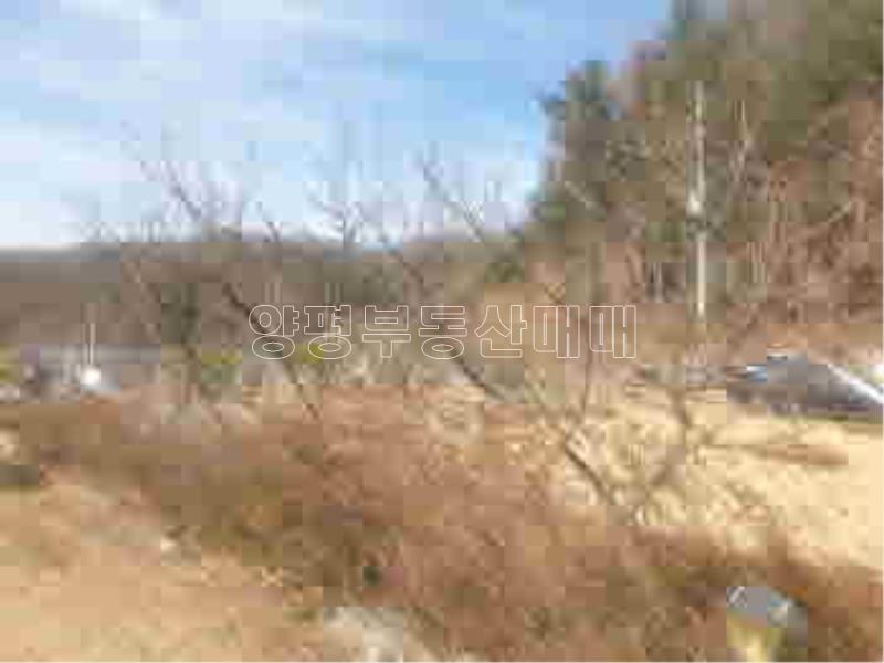 경기도 양평군 양서면 신원리 뷰 좋은 잘다듬어진 토지_15