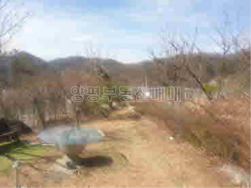 경기도 양평군 양서면 신원리 뷰 좋은 잘다듬어진 토지_16