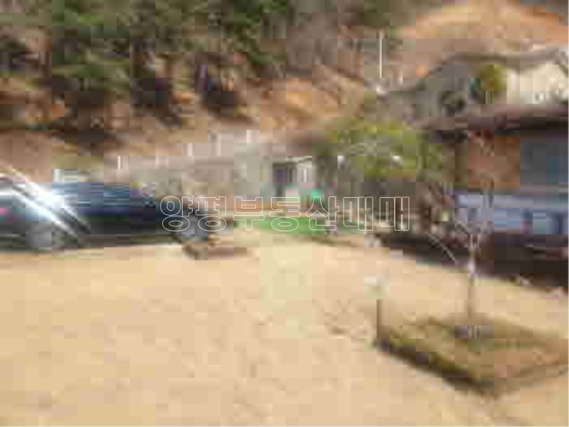 경기도 양평군 양서면 신원리 뷰 좋은 잘다듬어진 토지_17