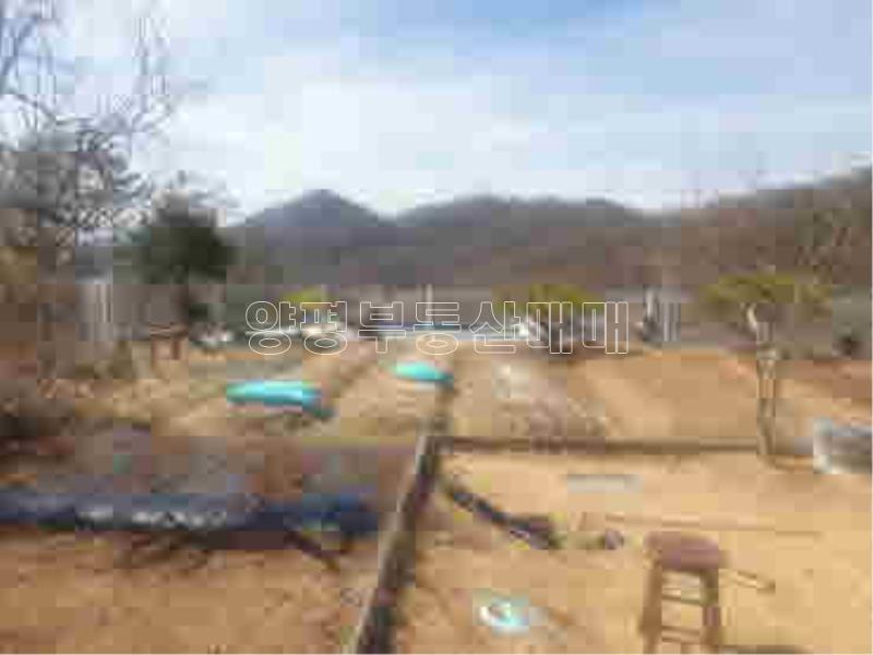 경기도 양평군 양서면 신원리 뷰 좋은 잘다듬어진 토지_19