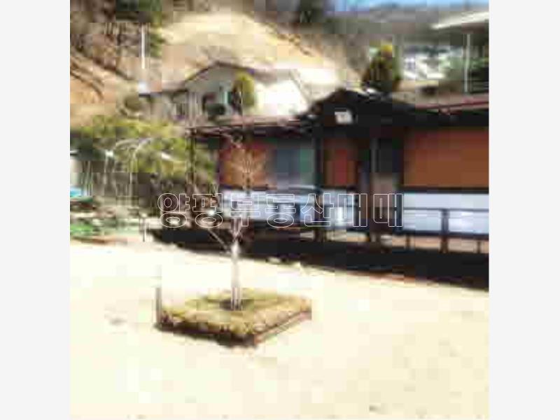 경기도 양평군 양서면 신원리 뷰 좋은 잘다듬어진 토지_21