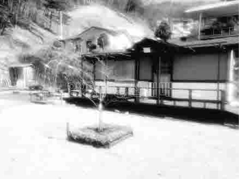 경기도 양평군 양서면 신원리 뷰 좋은 잘다듬어진 토지_22