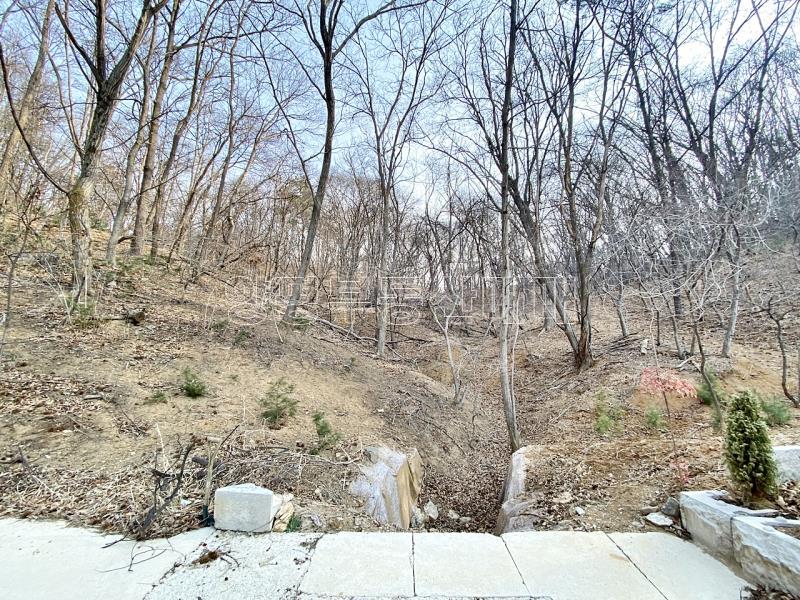 양평군 옥천면 아신리 임야_1