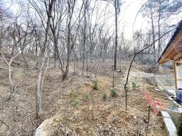 양평군 옥천면 아신리 임야_썸네일_2