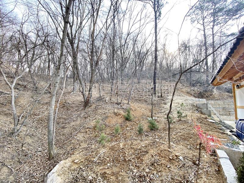 양평군 옥천면 아신리 임야_2