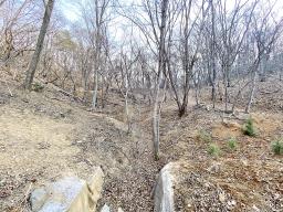 양평군 옥천면 아신리 임야_썸네일_3