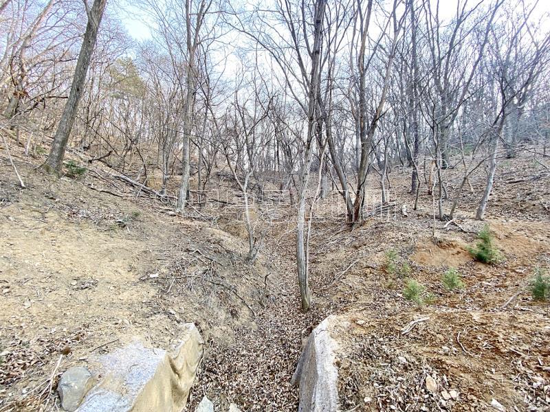 양평군 옥천면 아신리 임야_3