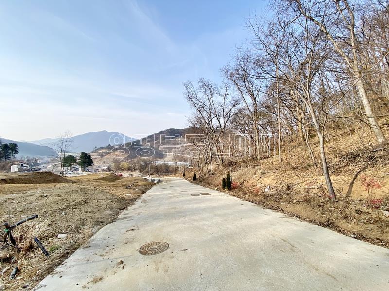 양평군 옥천면 아신리 임야_6