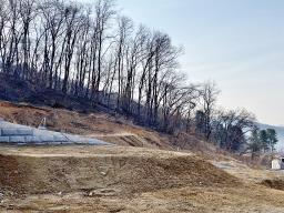 양평군 옥천면 아신리 임야_썸네일_7