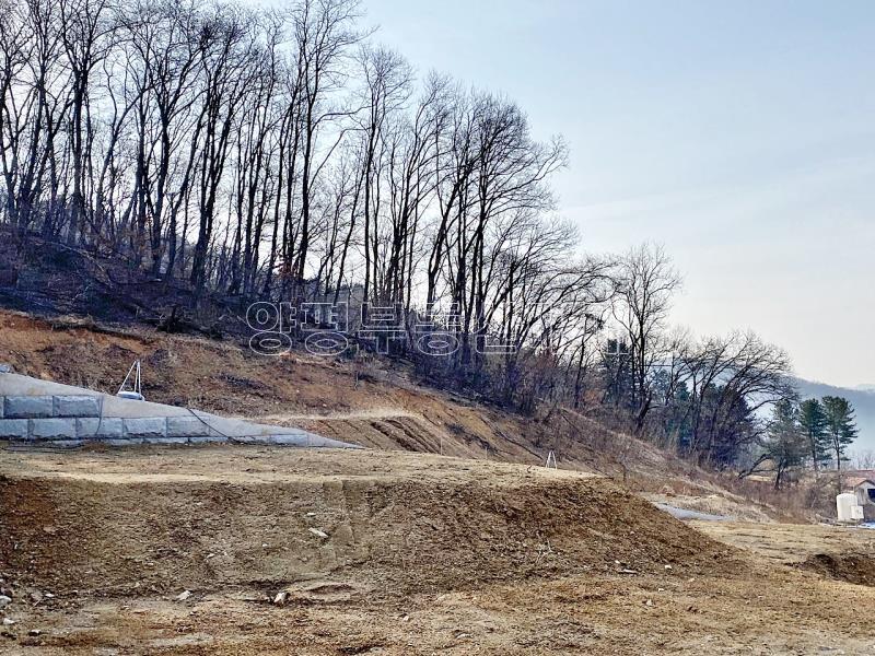 양평군 옥천면 아신리 임야_7