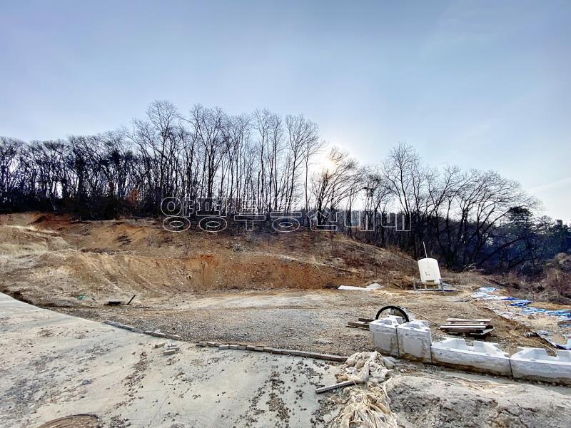 양평군 옥천면 아신리 임야_11