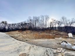 양평군 옥천면 아신리 임야_썸네일_12