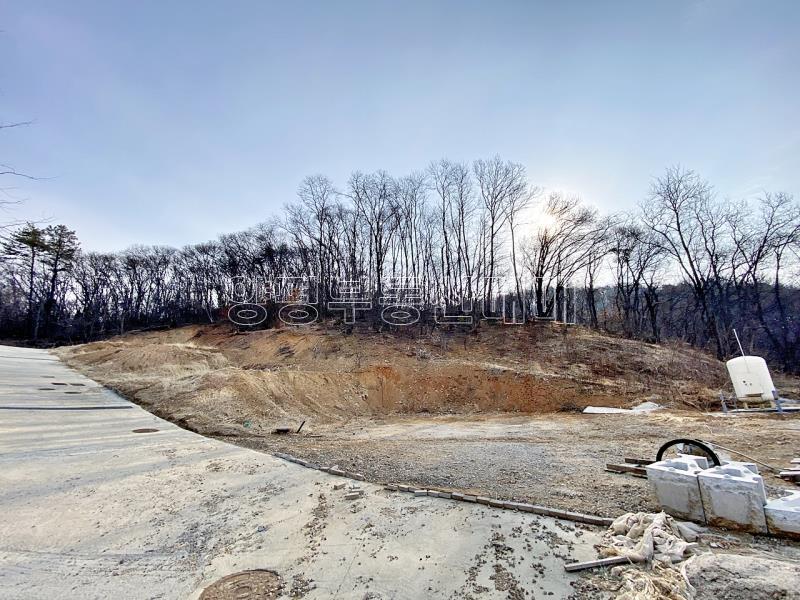 양평군 옥천면 아신리 임야_12