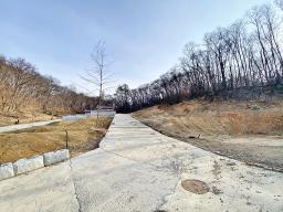 양평군 옥천면 아신리 임야_썸네일_13