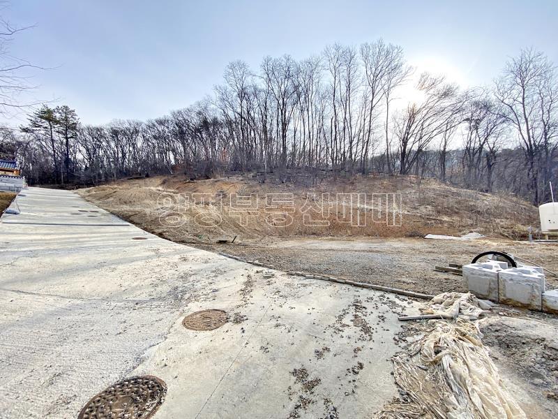 양평군 옥천면 아신리 임야_14