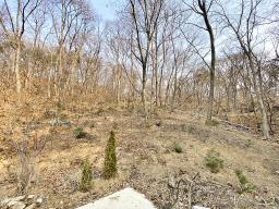 양평군 옥천면 아신리 임야_썸네일_19