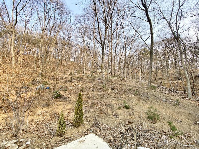 양평군 옥천면 아신리 임야_19