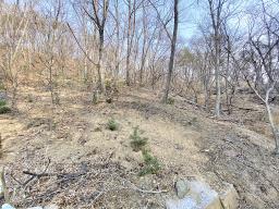 양평군 옥천면 아신리 임야_썸네일_20