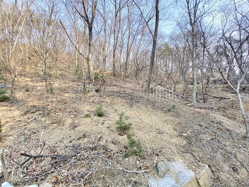 양평군 옥천면 아신리 임야_20