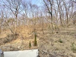 양평군 옥천면 아신리 임야_썸네일_21