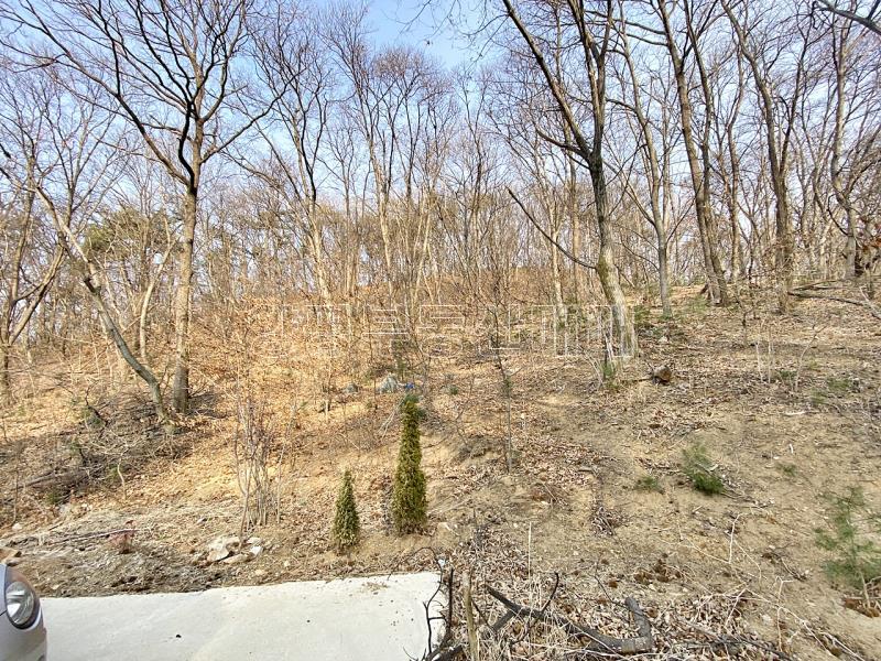 양평군 옥천면 아신리 임야_21