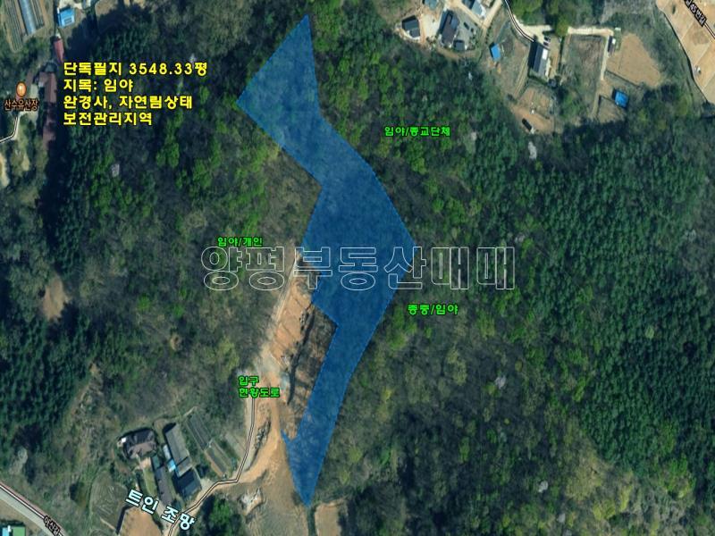 양평군 옥천면 아신리 임야_22