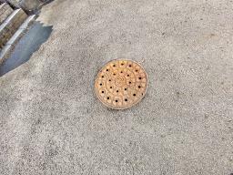 양평군 양서면 잘다듬어지고 전망좋은 토지_썸네일_3